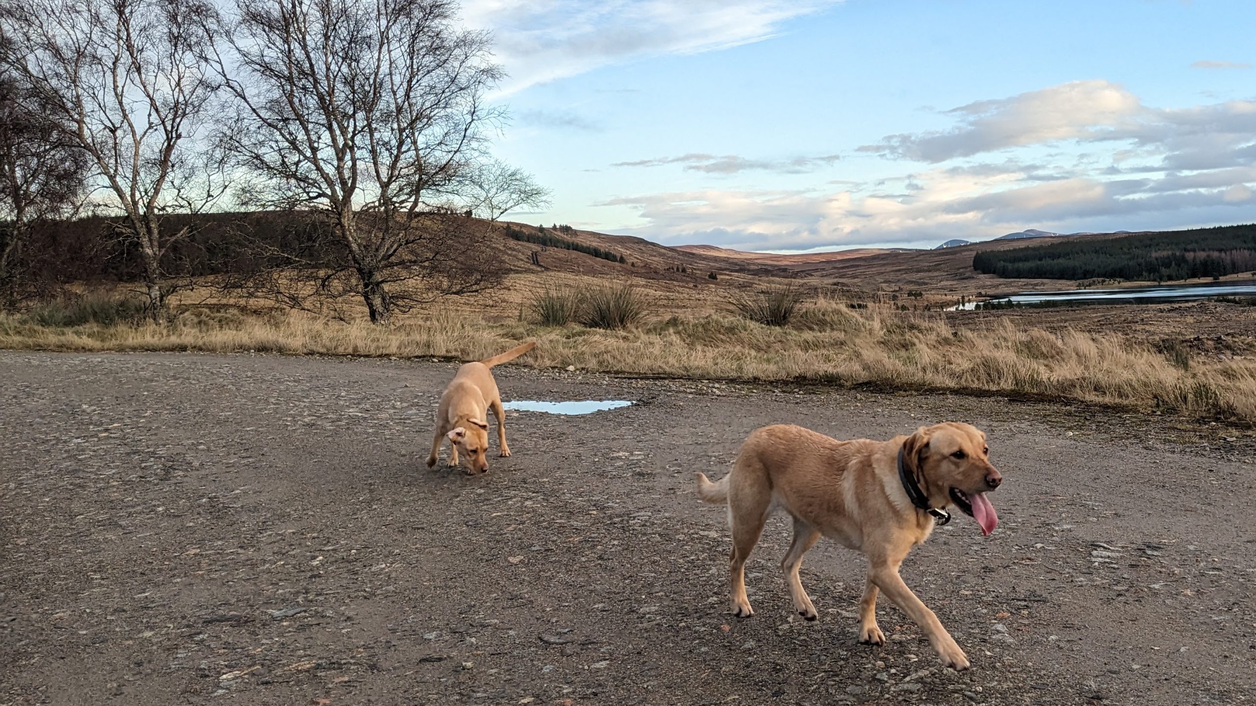 What an ordinary walk revealed about the way we live.