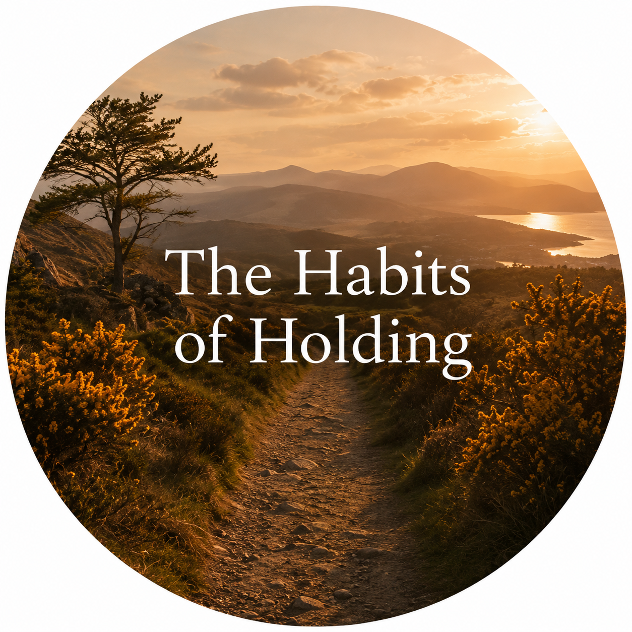 Habits of Holding_Circle
